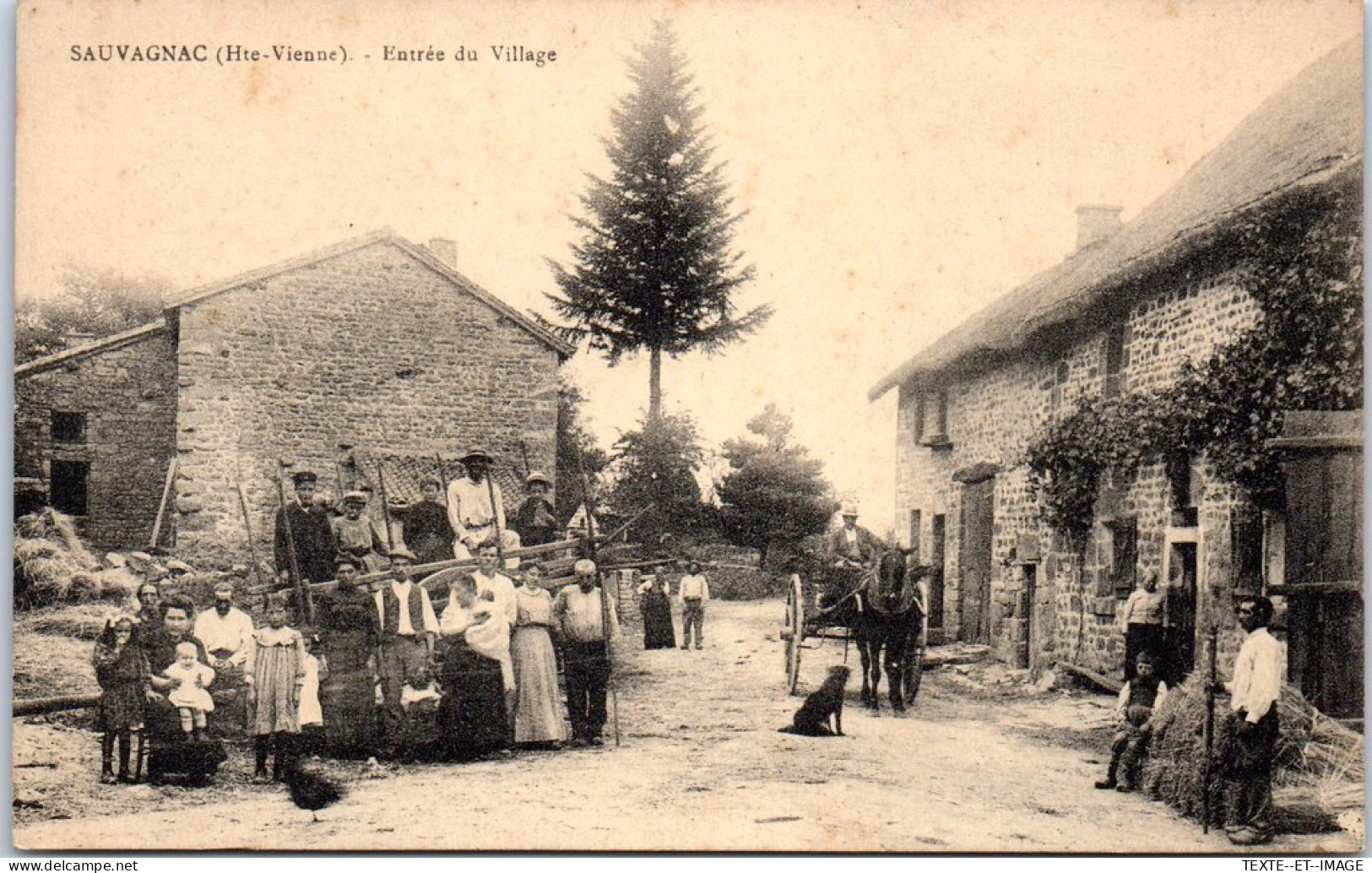 87 SAUVAGNAC - L'entree Du Village  - Other & Unclassified