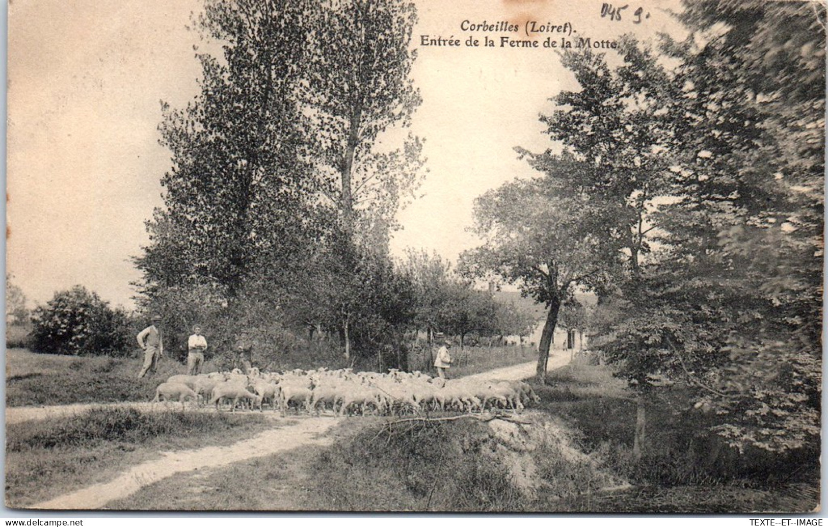 45 CORBEILLES - Entree De La Ferme De La Motte. - Altri & Non Classificati