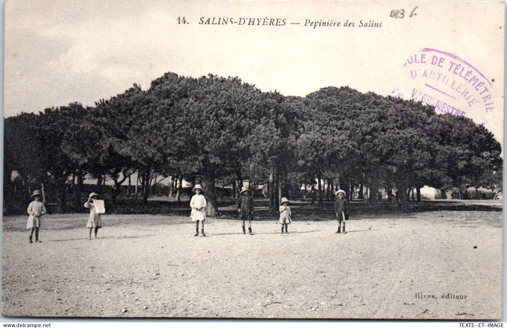 83 SALINS D'HYERES - Pepiniere Des Salins. - Other & Unclassified