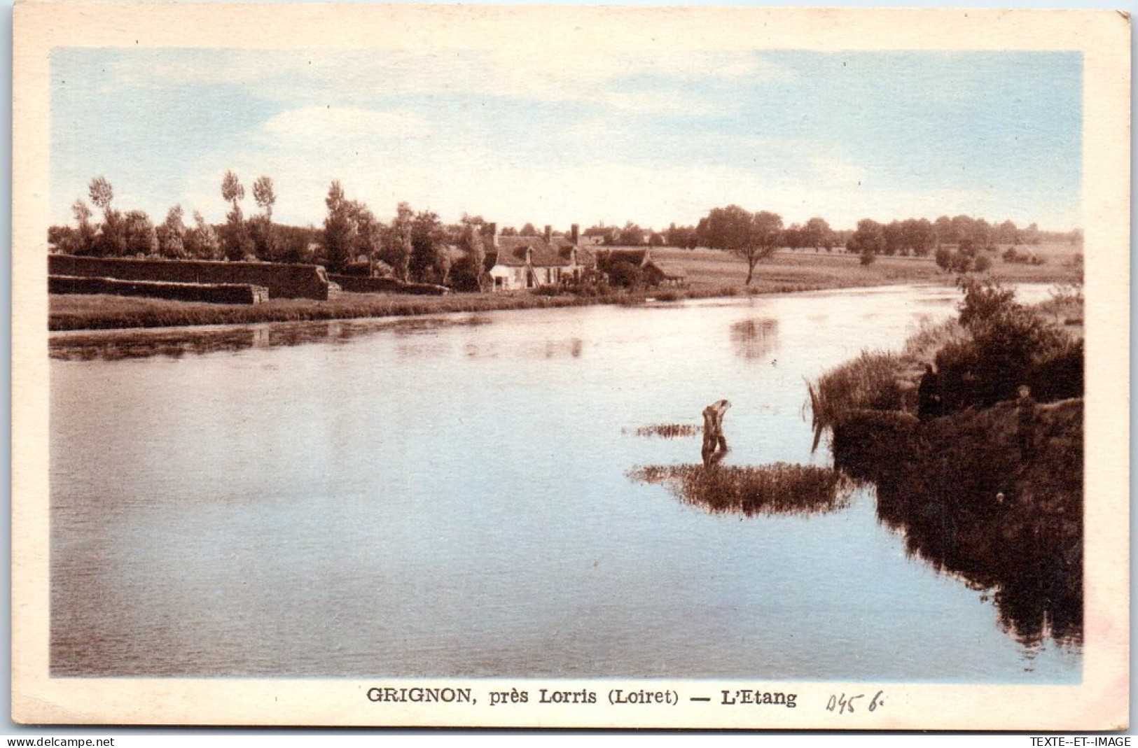 45 GRIGNON - Vue De L'etang. - Other & Unclassified