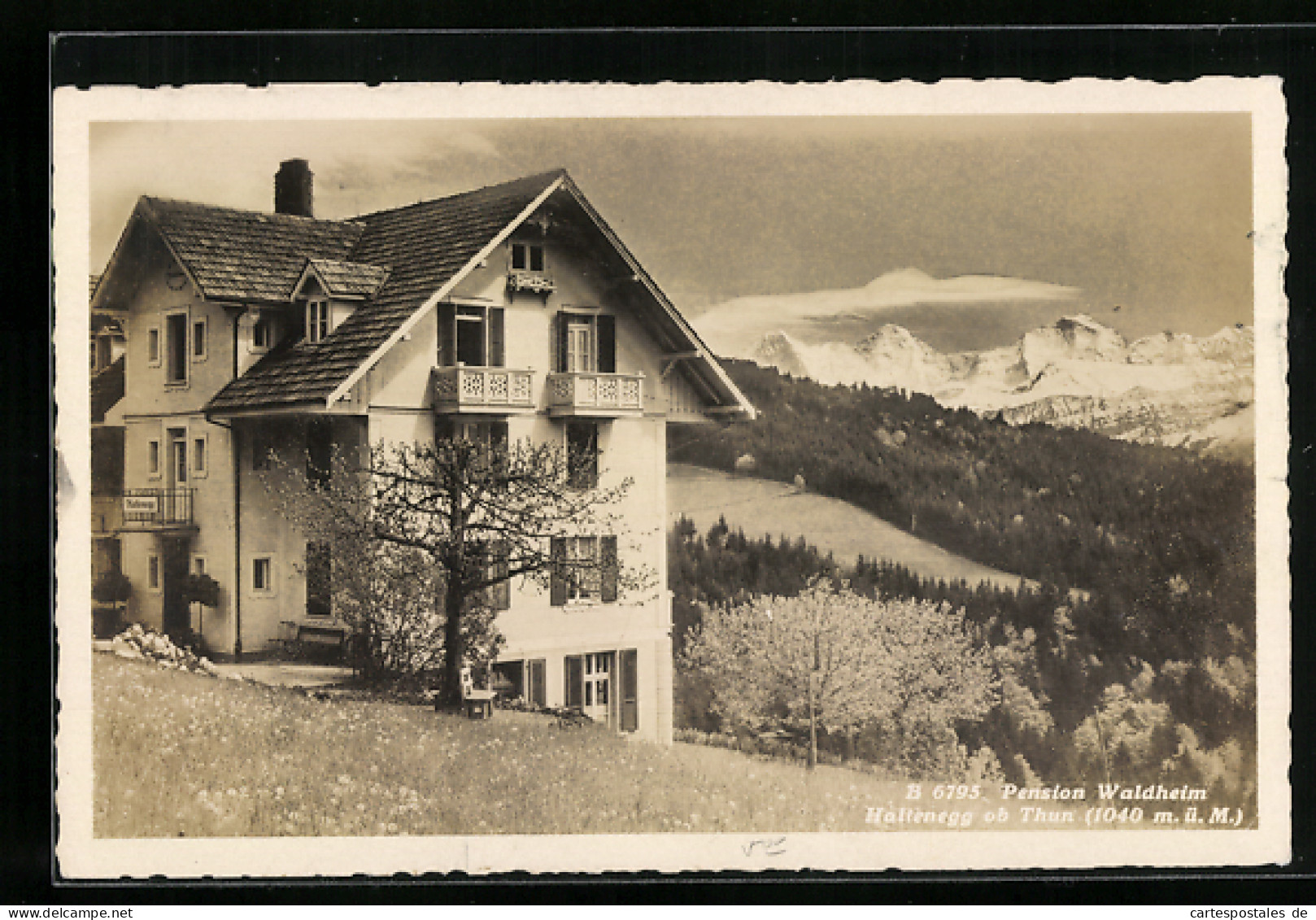 AK Haltenegg Ob Thun, Pension Waldheim, Panorama  - Wald