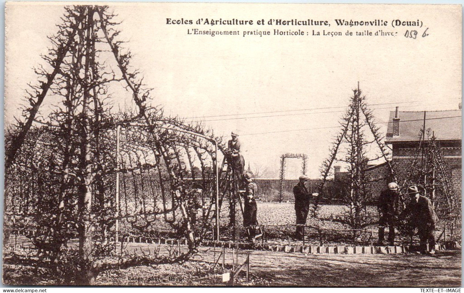 59 WAGNONVILLE - L'ecole D'agriculture, La Taille En Hiver. - Autres & Non Classés