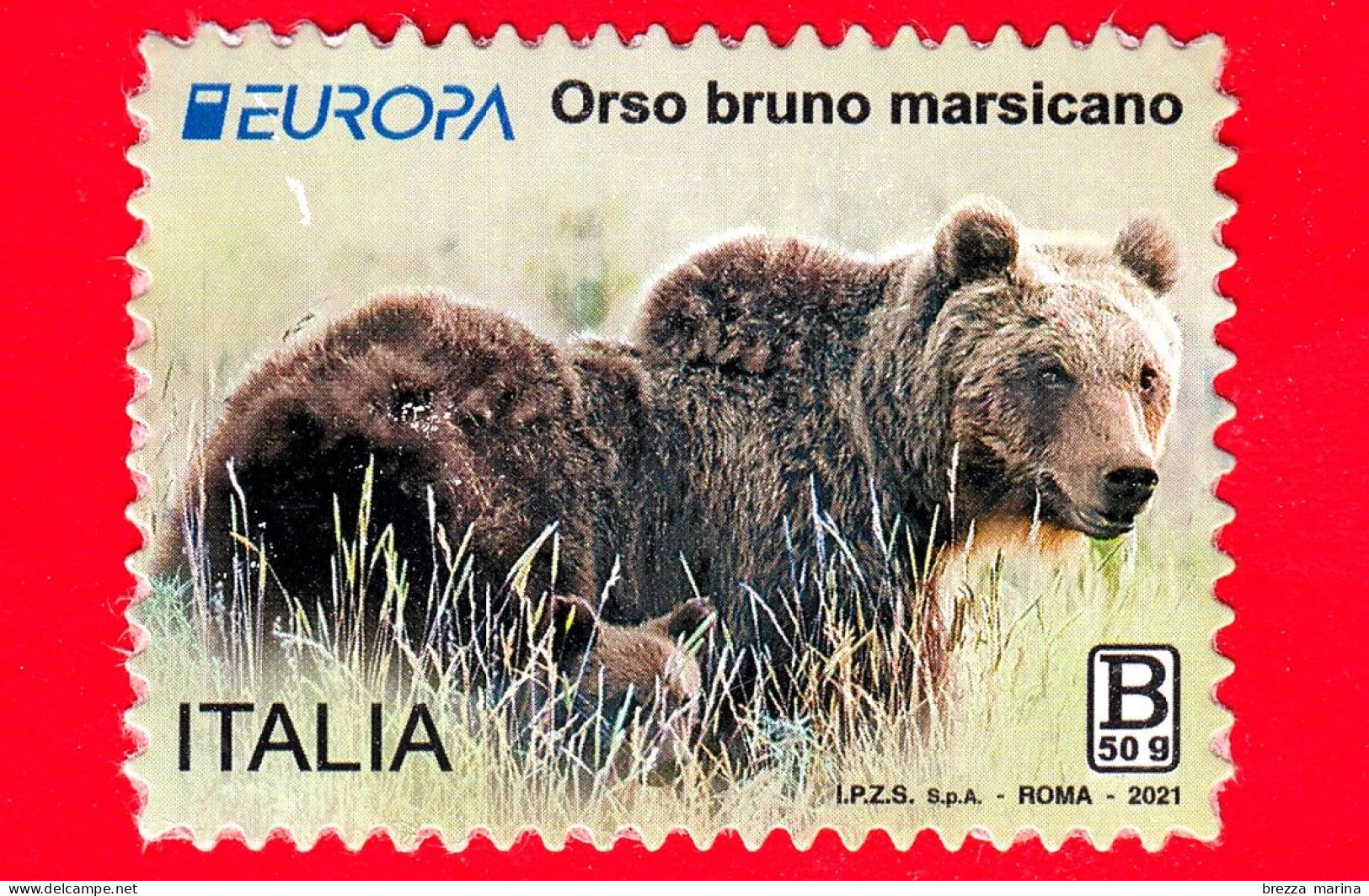 ITALIA - Usato - 2021 - Europa - Orso Bruno Marsicano - Fauna A Rischio Estinzione - B 50 G - 2021-...: Gebraucht