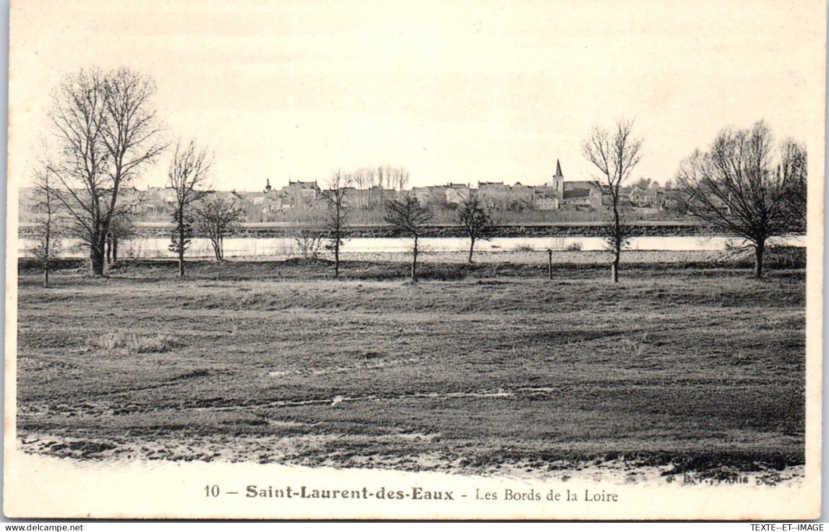 41 SAINT LAURENT DES EAUX - Bords De Loire. - Other & Unclassified