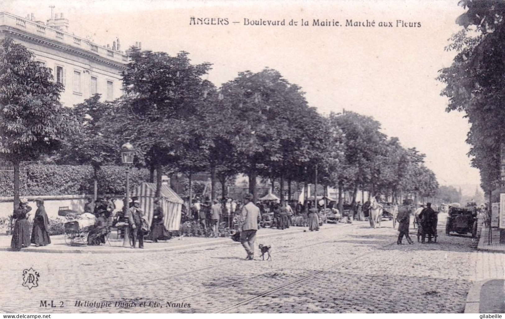 49 - Maine Et Loire -  ANGERS - Boulevard De La Mairie - Marché Aux Fleurs - Angers