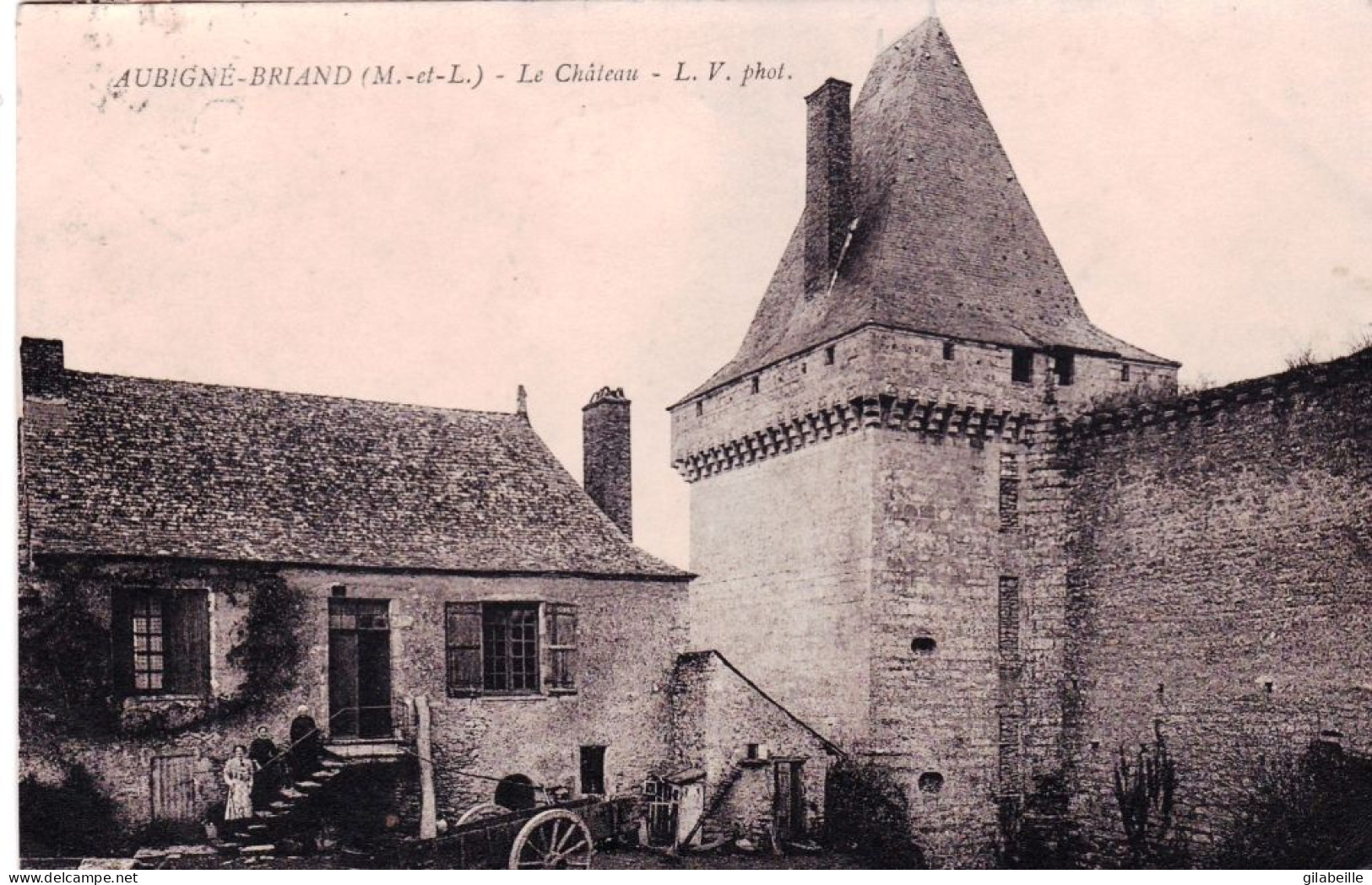 49 - Maine Et Loire - AUBIGNE - BRIAND - ( Aubigne Sur Layon ) Le Chateau - Autres & Non Classés