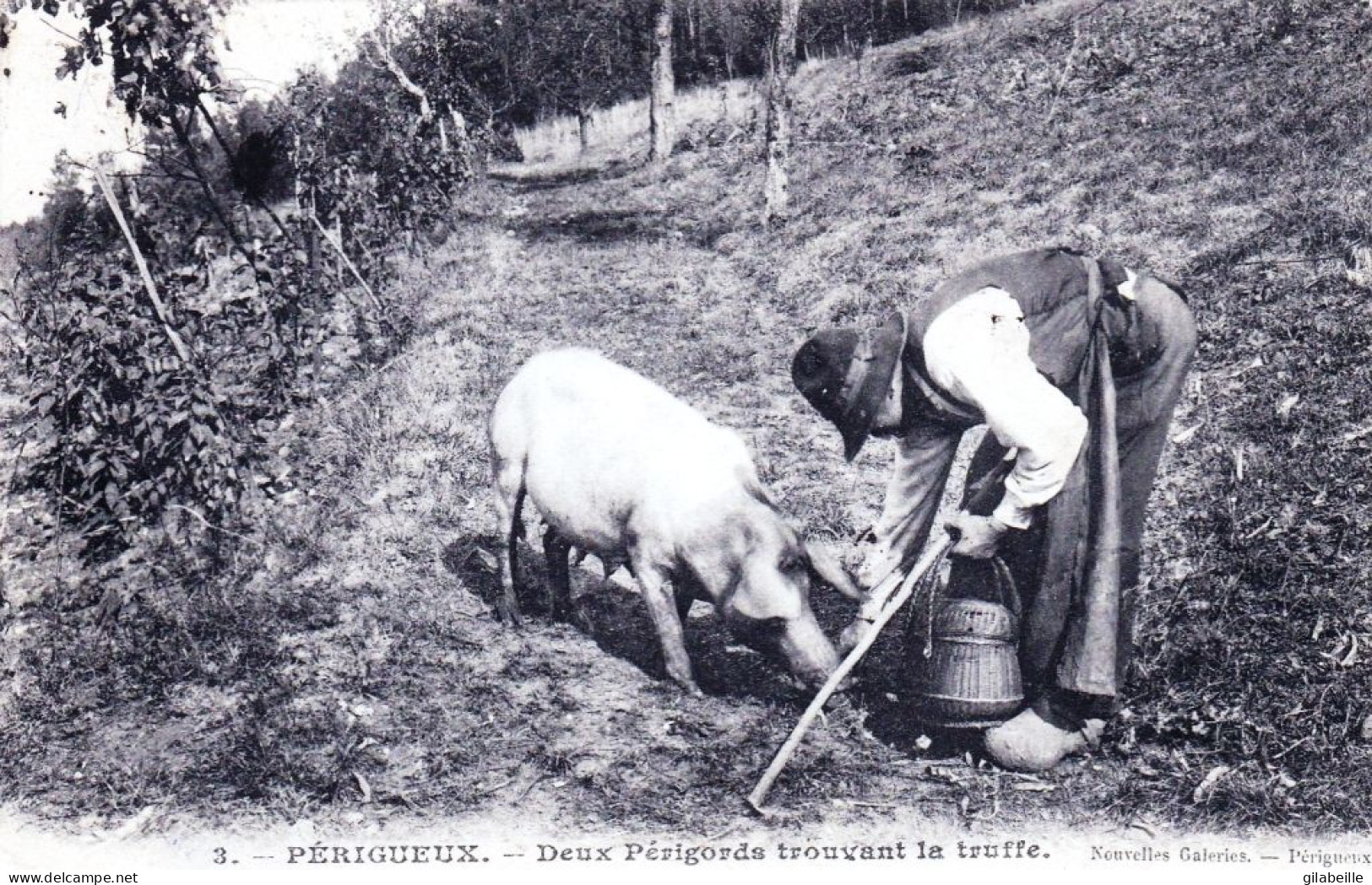 24 - Dordogne - PERIGUEUX - Deux Perigords Trouvant La Truffe - Périgueux