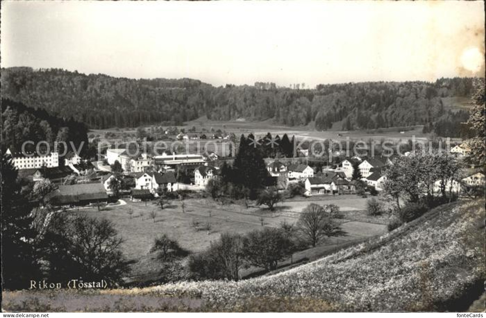 11901106 Rikon Toesstal Gesamtansicht Rikon Toesstal - Autres & Non Classés