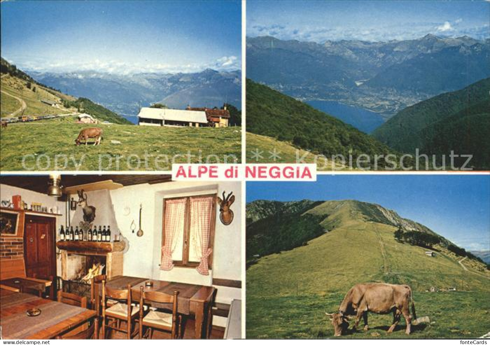 11889876 Neggia Ritrowo Alpe Di Neggia Gaststube Viehweide Neggia - Autres & Non Classés