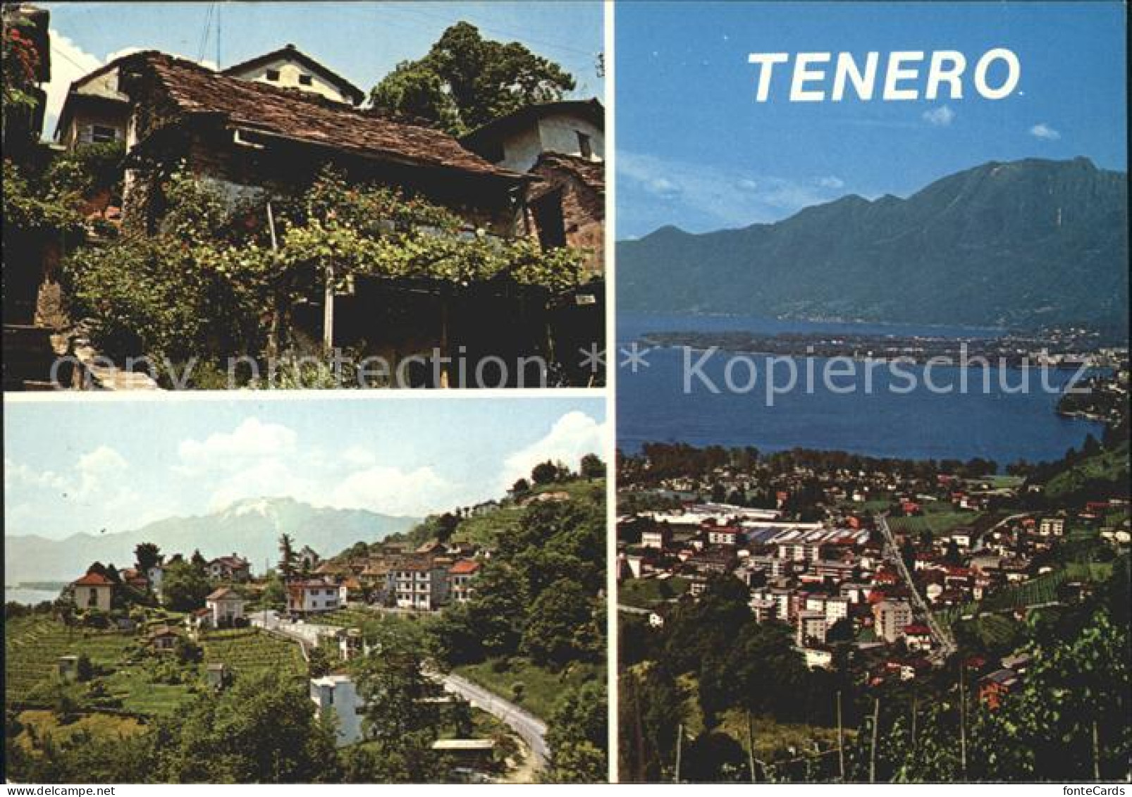 11889826 Tenero Dorfmotive Panorama Tenero - Sonstige & Ohne Zuordnung