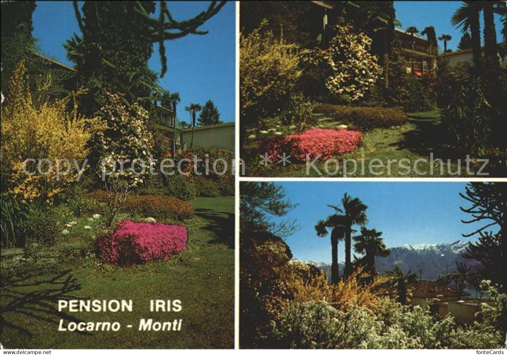 11889816 Monti Locarno TI Pension Iris Details Locarno - Sonstige & Ohne Zuordnung