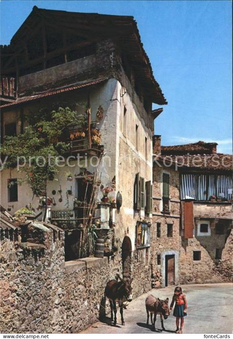 11888226 Tessin Ticino Dorfpartei Kind Mit Eseln Lugano - Andere & Zonder Classificatie