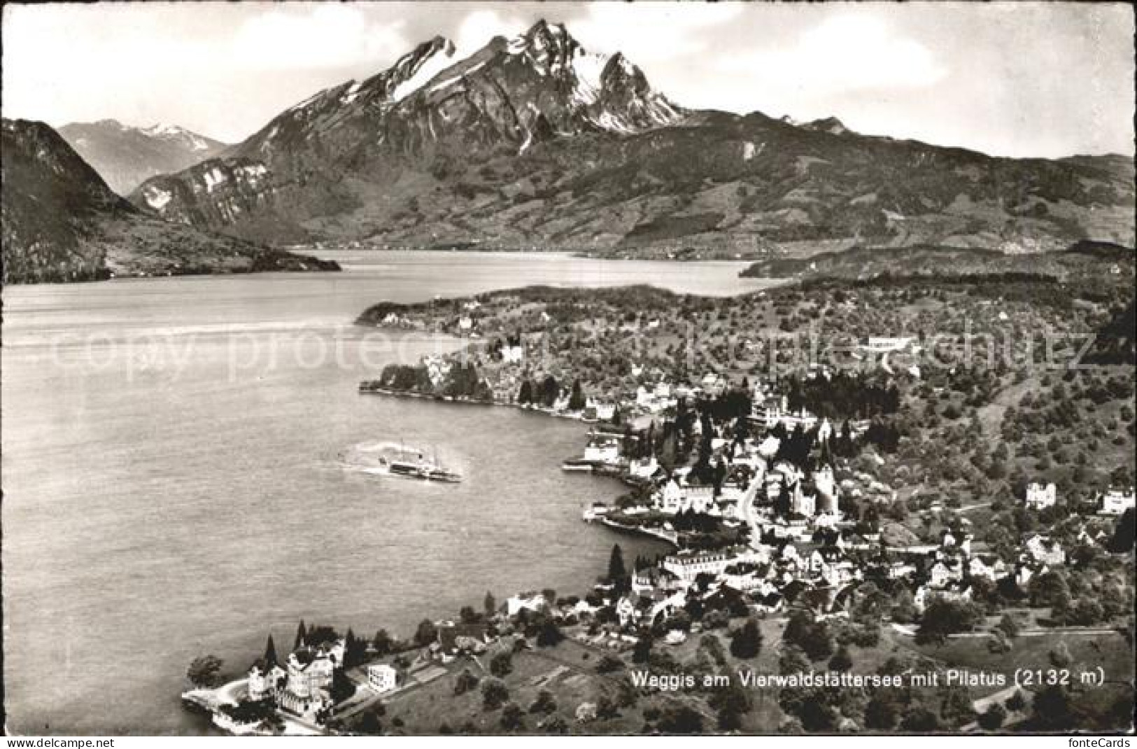 11886786 Weggis Vierwaldstaettersee Vierwaldstaettersee Pilatus Weggis - Andere & Zonder Classificatie