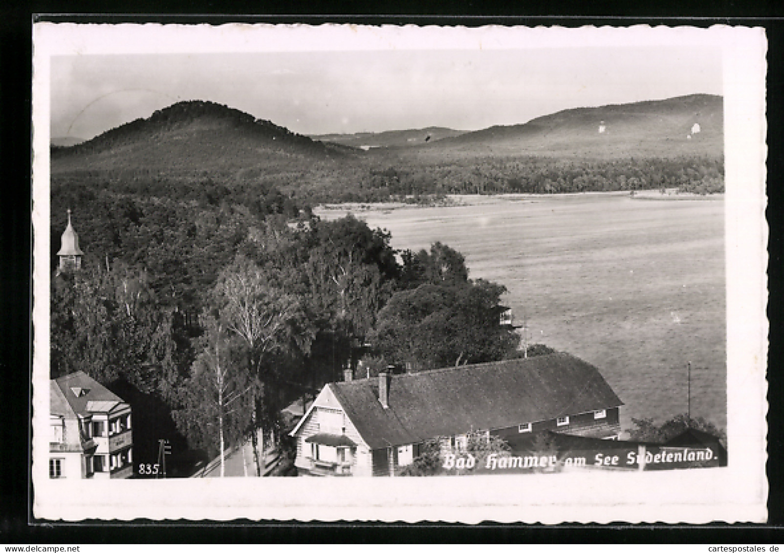 AK Hammer Am See, Panorama über Den See Auf Das Umland  - Tchéquie