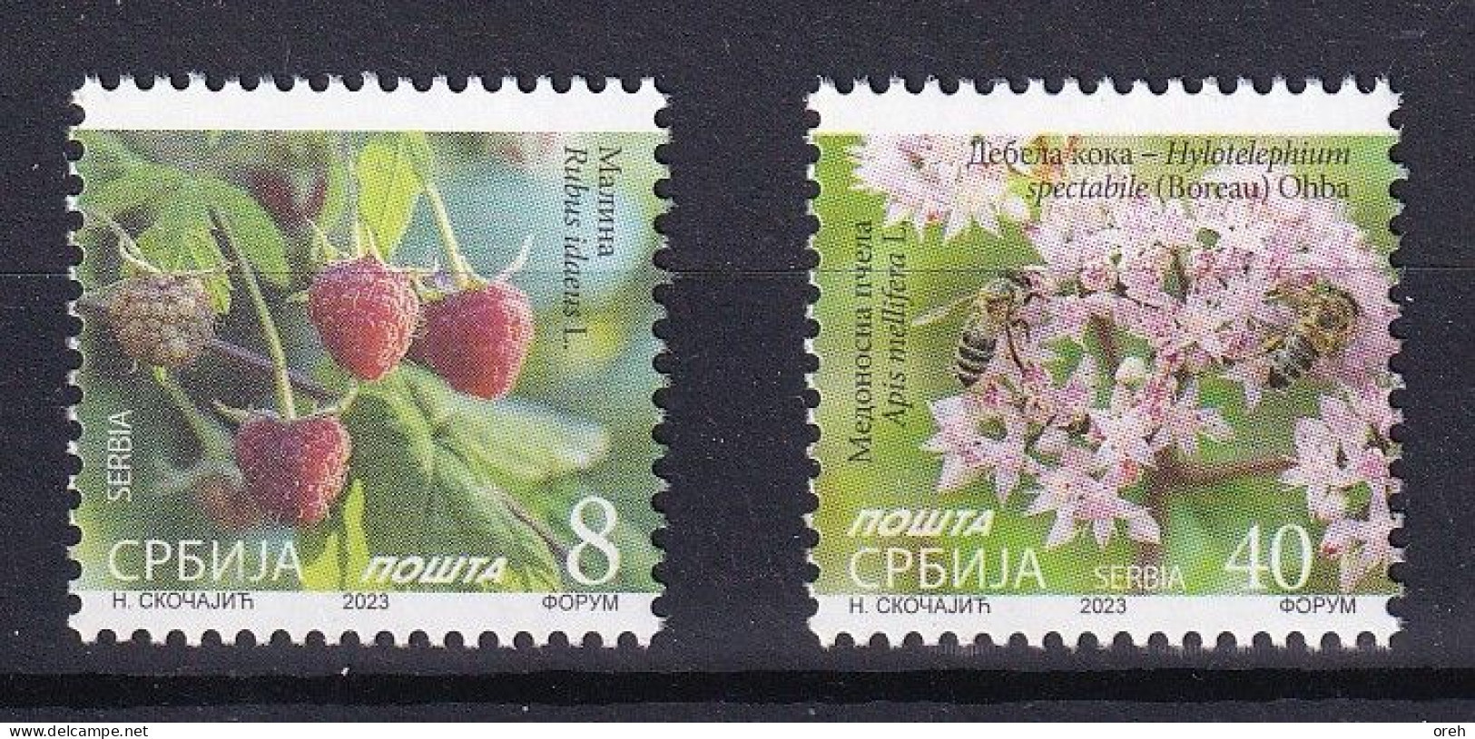 SERBIA  2023, DEFINITIVE STAMPS,FRUITS,FLORA,Apis,Rubus,MNH - Serbia