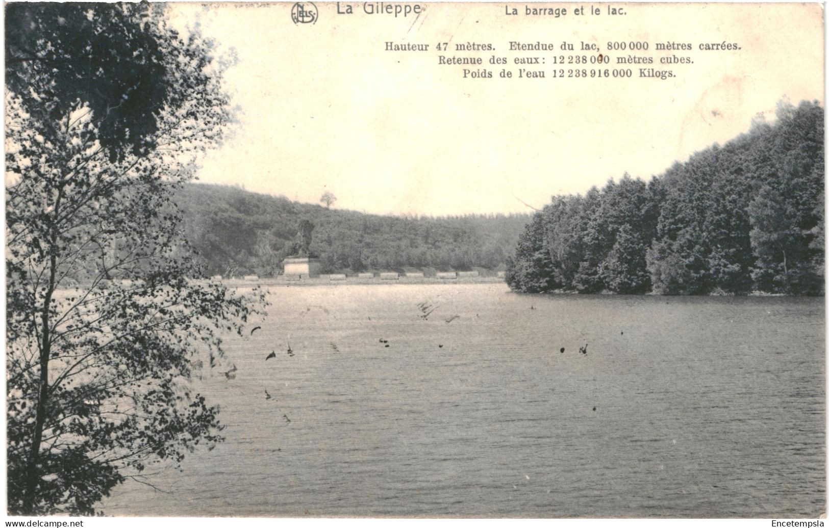 CPA Carte Postale  Belgique Gileppe Le Barrage Et Le Lac  VM80666 - Gileppe (Dam)