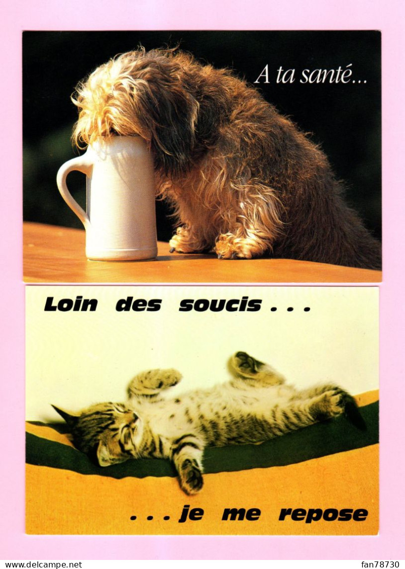 Animaux Et Humour X2  - Frais Du Site Déduits - Otros & Sin Clasificación