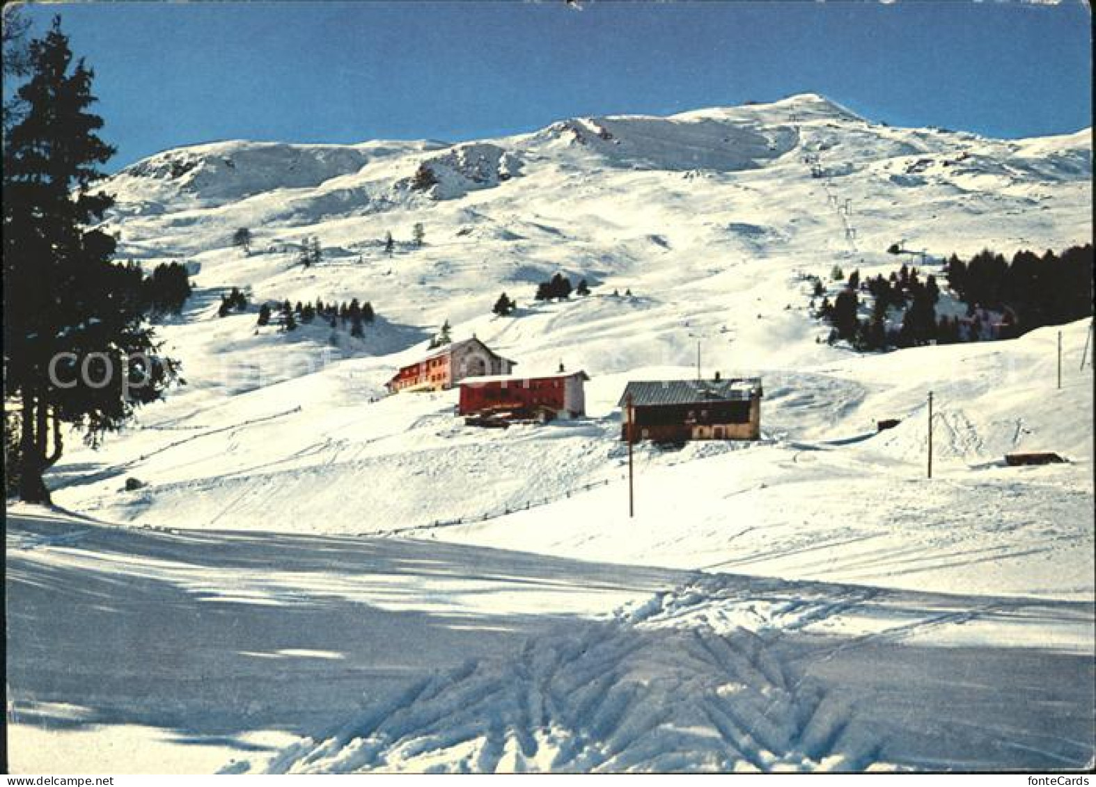 11879236 Lenzerheide GR Tgantieni Piz Scalottas Lenzerheide Chur - Autres & Non Classés