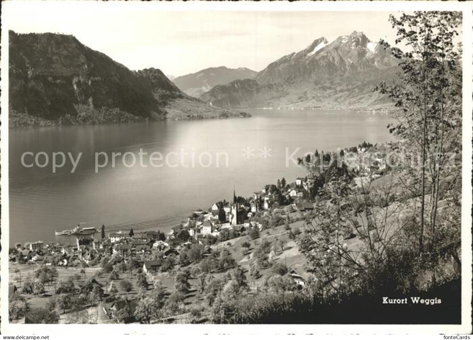 11879136 Weggis Vierwaldstaettersee Vierwaldstaettersee Buergenstock Pilatus Weg - Andere & Zonder Classificatie