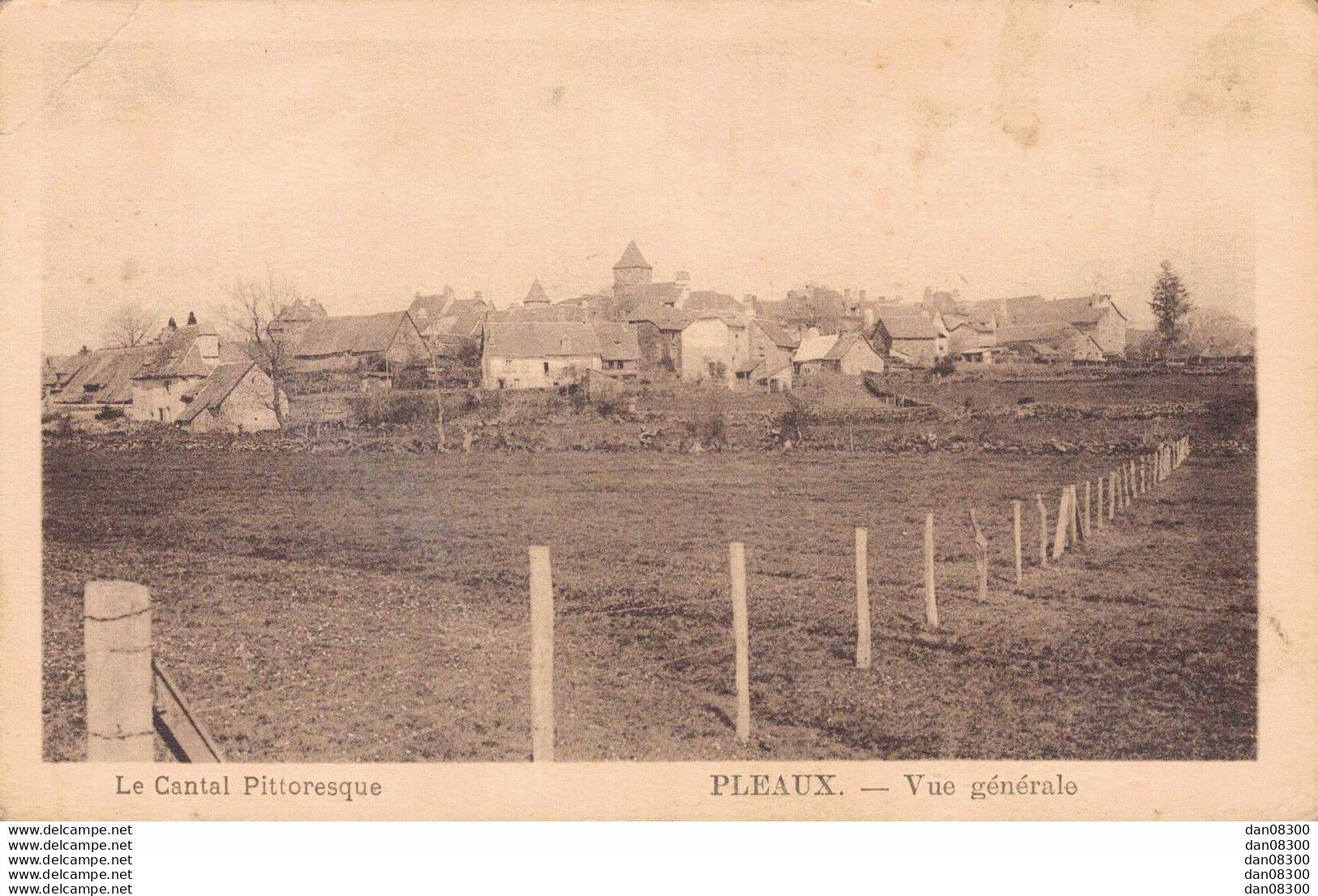 RARE  15 LE CANTAL PITTORESQUE PLEAUX VUE GENERALE - Sonstige & Ohne Zuordnung