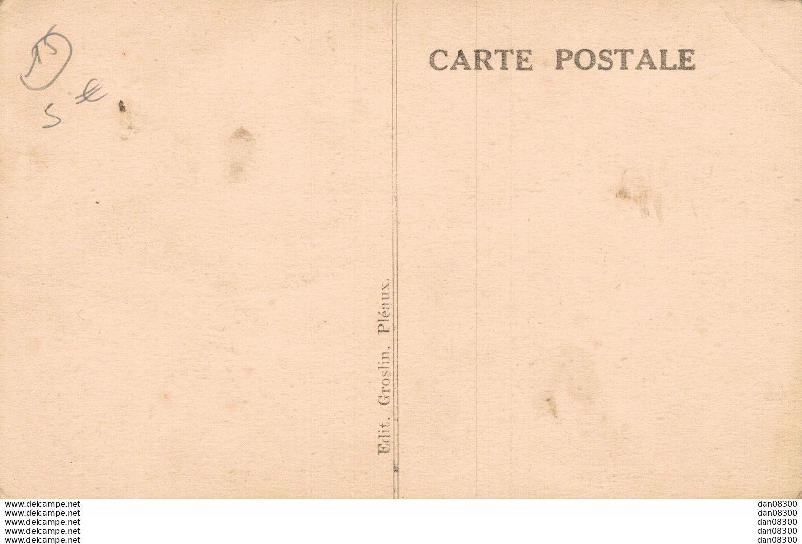 RARE  15 LE CANTAL PITTORESQUE PLEAUX VUE GENERALE - Altri & Non Classificati