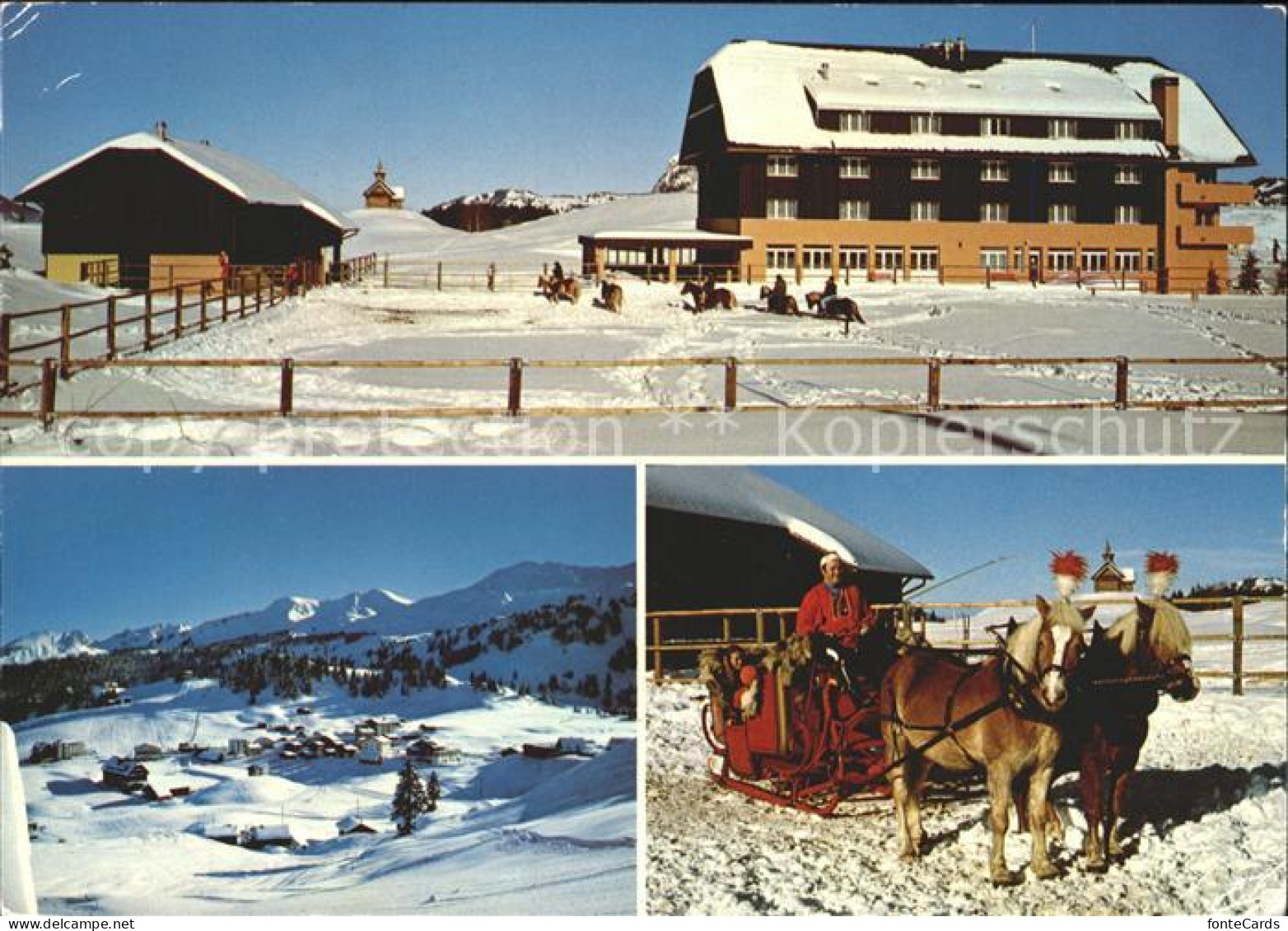 11877726 Stoos SZ Fitnesszentrum Mit Haflinger Reitbetrieb Schlittenfahrt Stoos  - Altri & Non Classificati