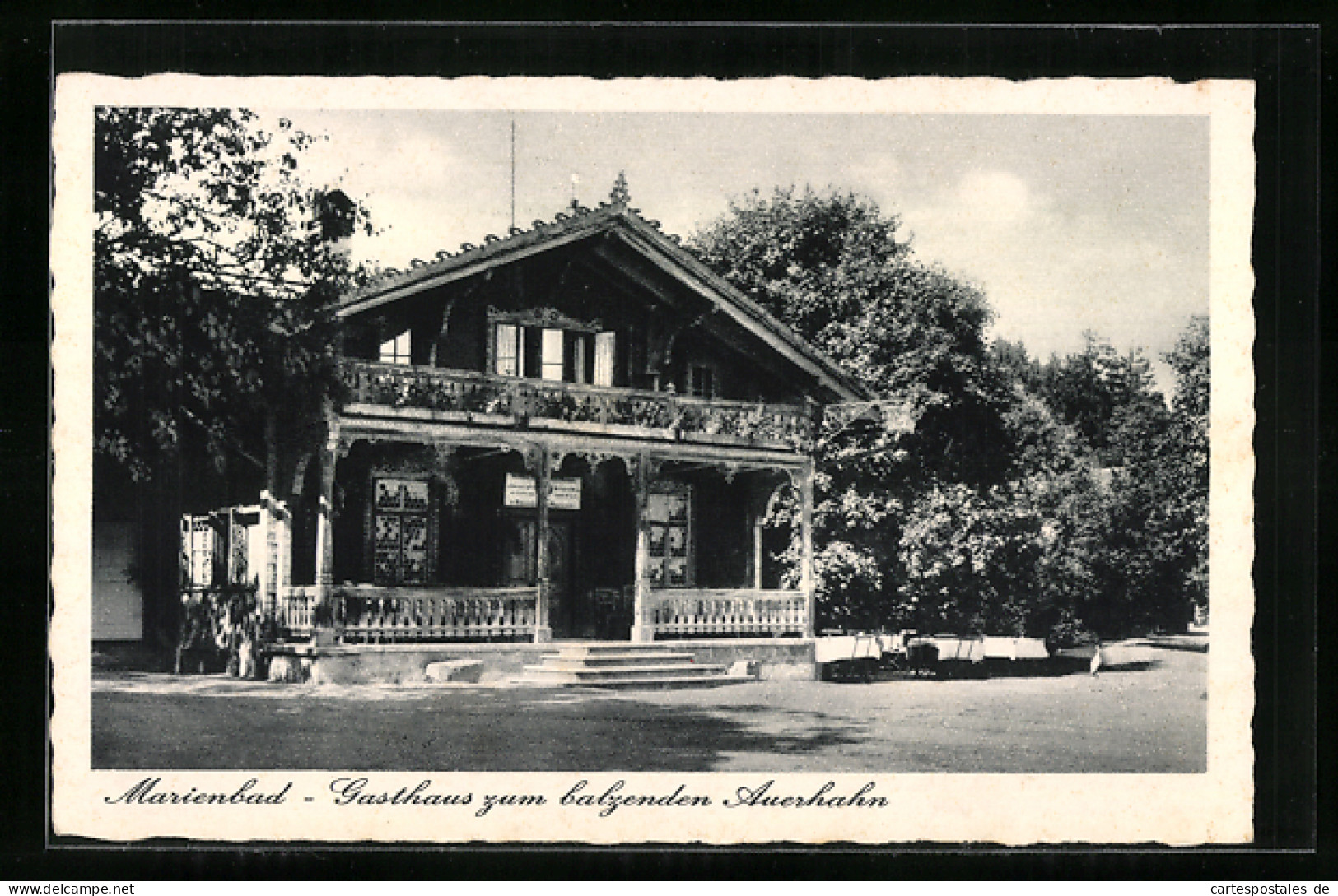 AK Marienbad, Gasthaus Zum Balzenden Auerhahn  - República Checa