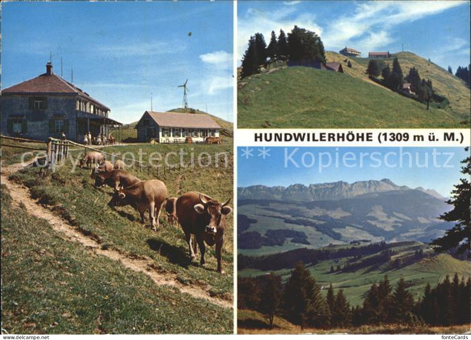 11875536 Hundwilerhoehe Berggasthaus Panorama Hundwiler Hoehe - Otros & Sin Clasificación