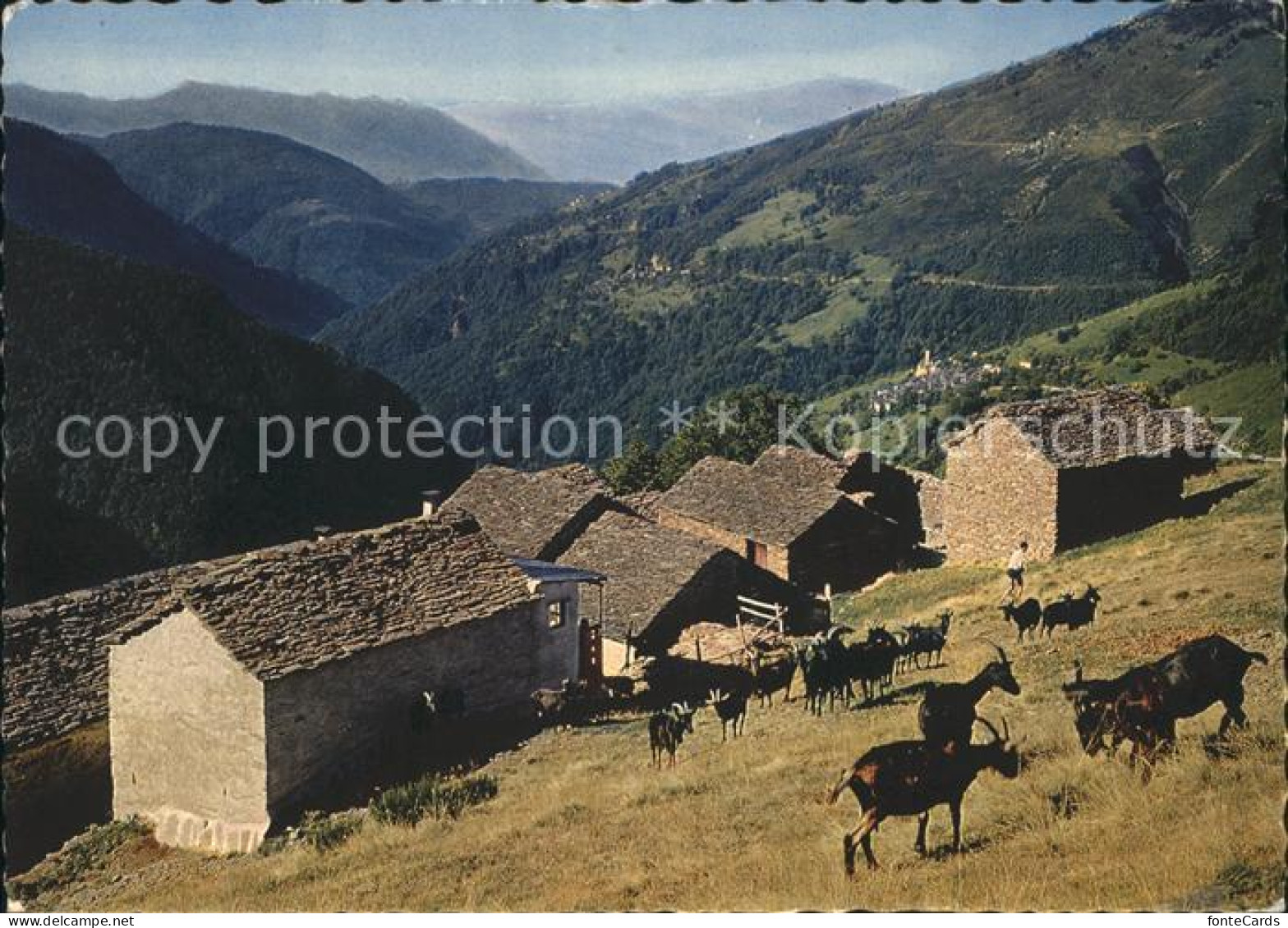 11875346 Indemini Il Ticino Pittoresco Indemini - Sonstige & Ohne Zuordnung