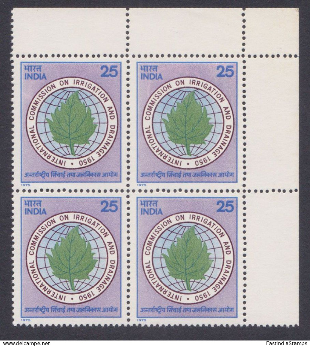 Inde India 1975 MNH International Commission On Irrigation And Drainage, Block - Nuovi