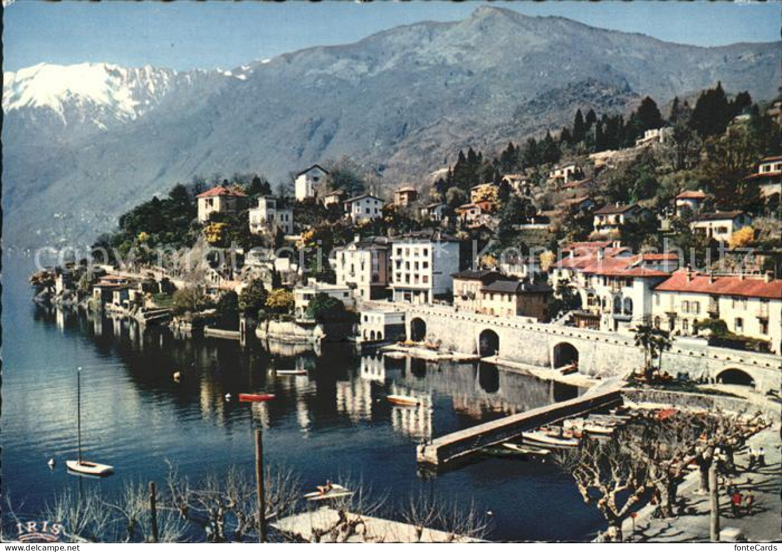 11871046 Ascona TI Collina S Michele Panorama  Ascona - Autres & Non Classés