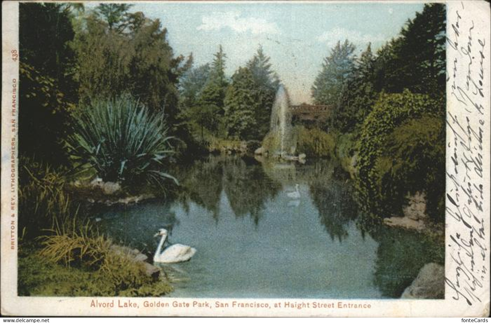11321043 San_Francisco_California Alvord Lake Golden Gate Park Swan - Other & Unclassified