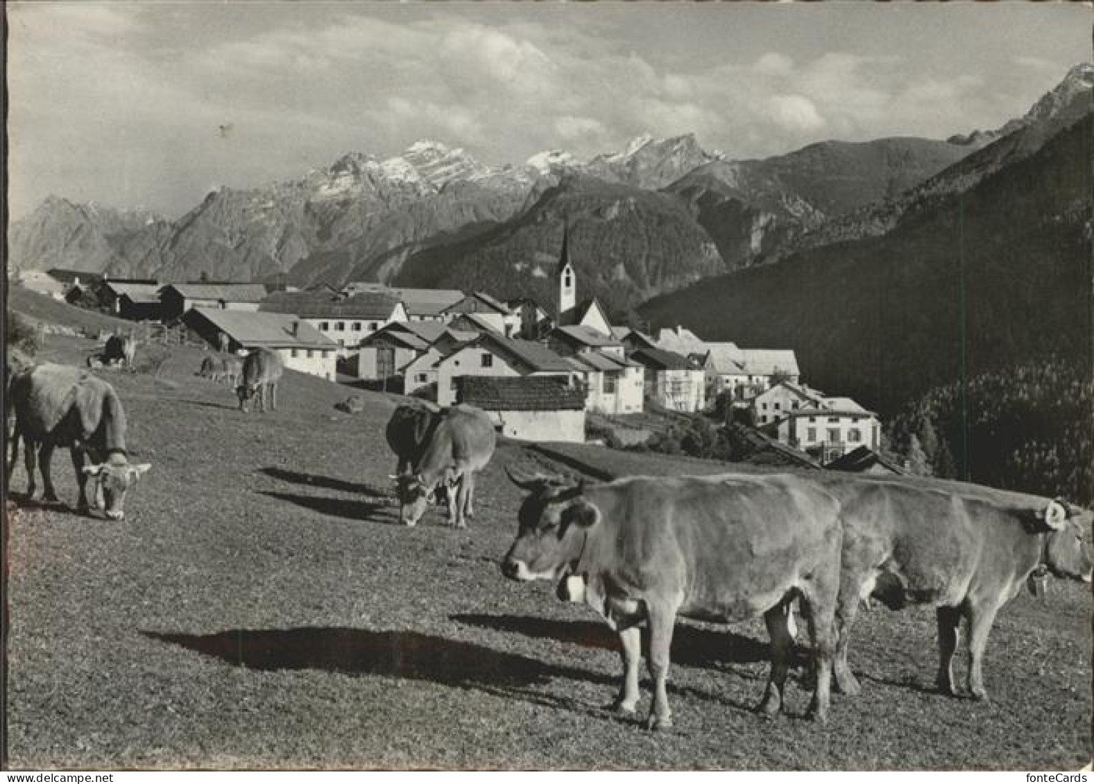 11318487 Guarda Inn Piz Pisoc Kuehe Guarda - Sonstige & Ohne Zuordnung