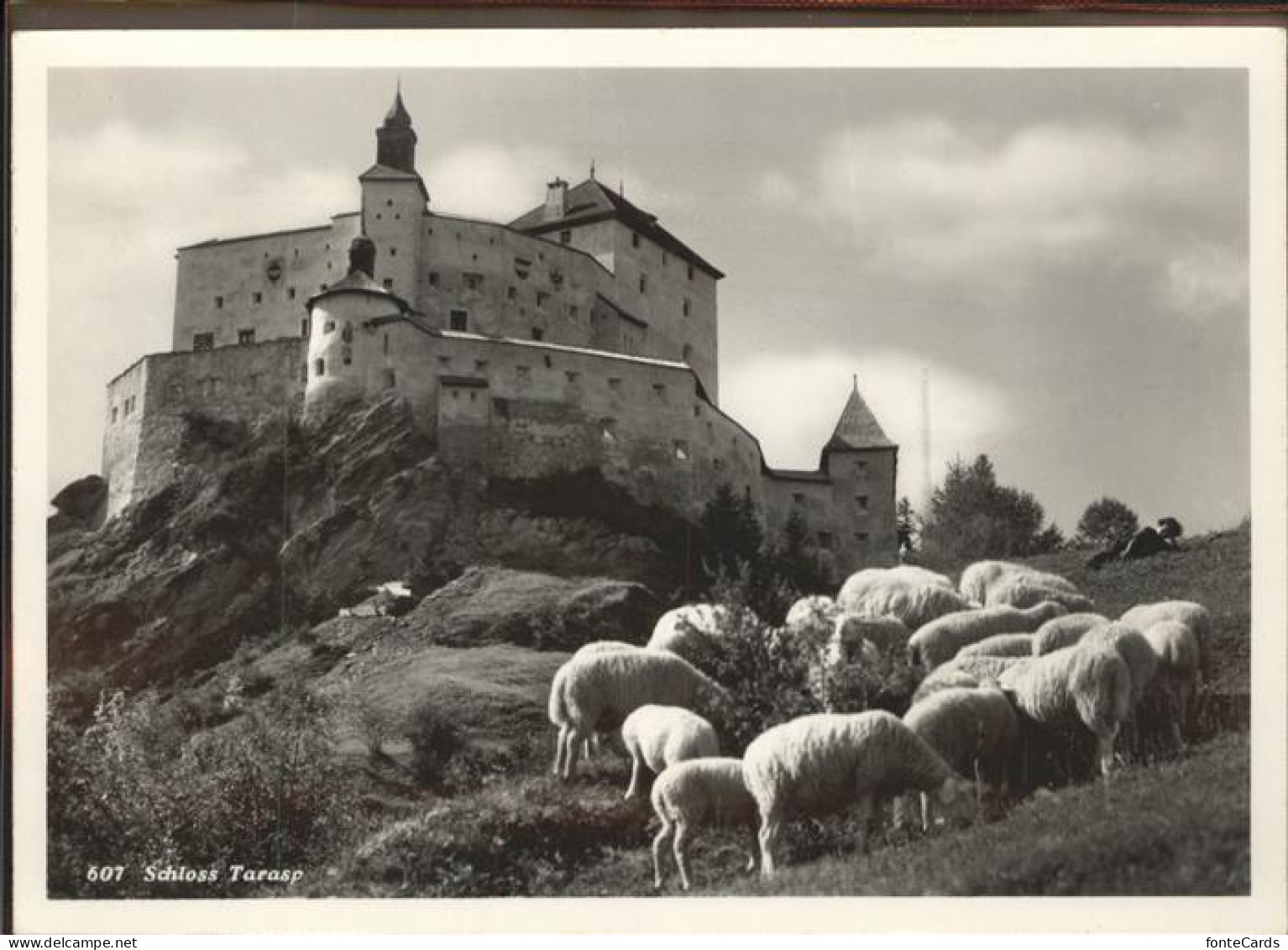 11318320 Tarasp Schloss Schafe Tarasp - Sonstige & Ohne Zuordnung