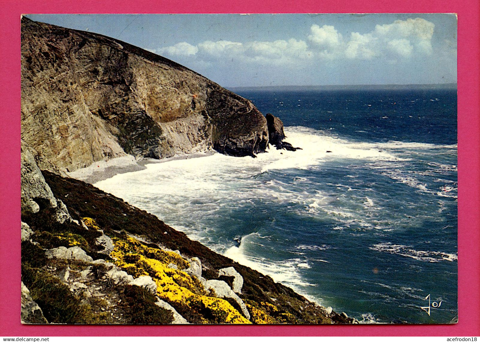 Crozon-Morgat - La Pointe Du Cap De La Chèvre - Crozon