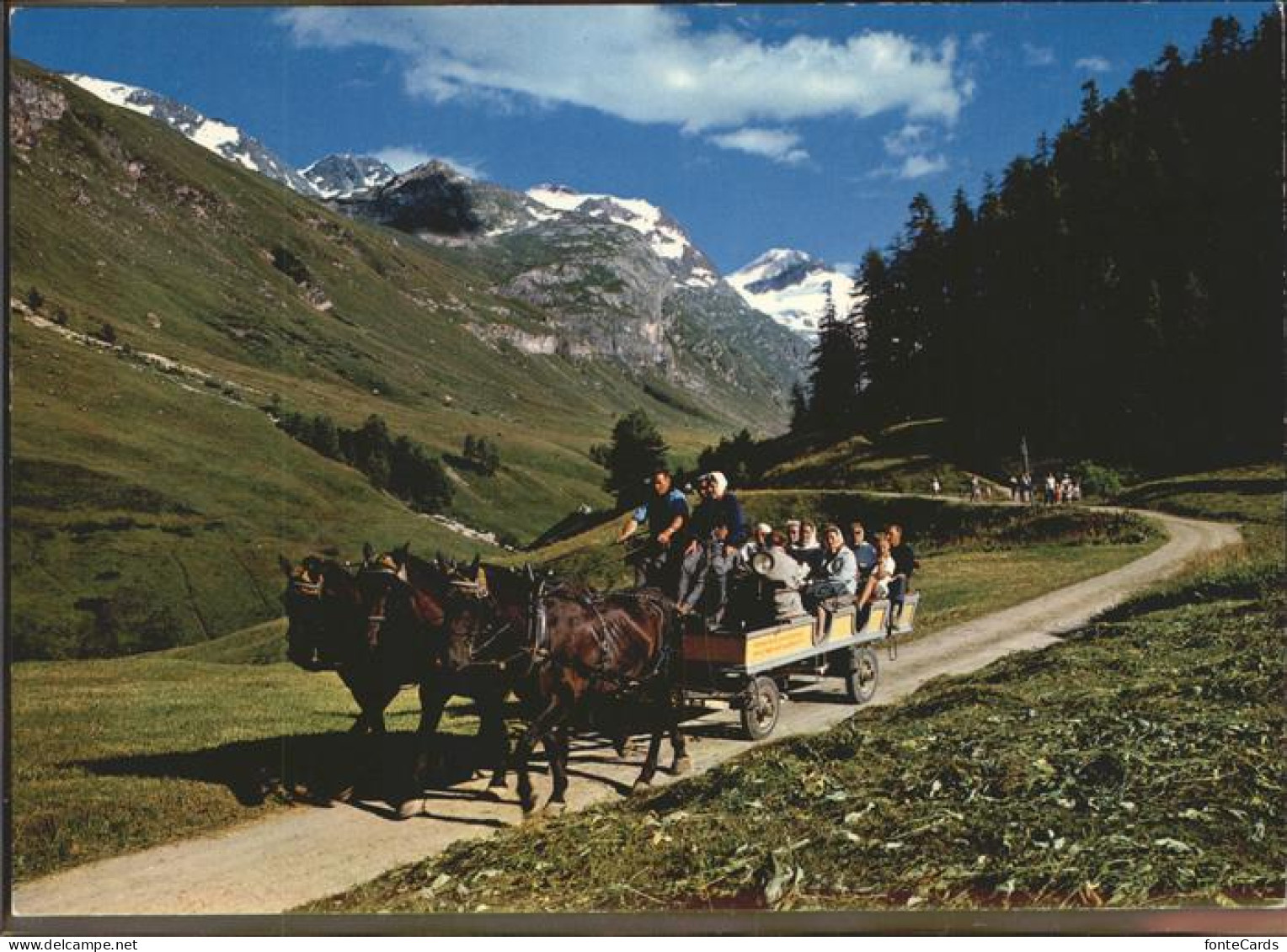 11318096 Sils Engadin Graubuenden Pferde-Ausflugs-Omnibus  - Autres & Non Classés