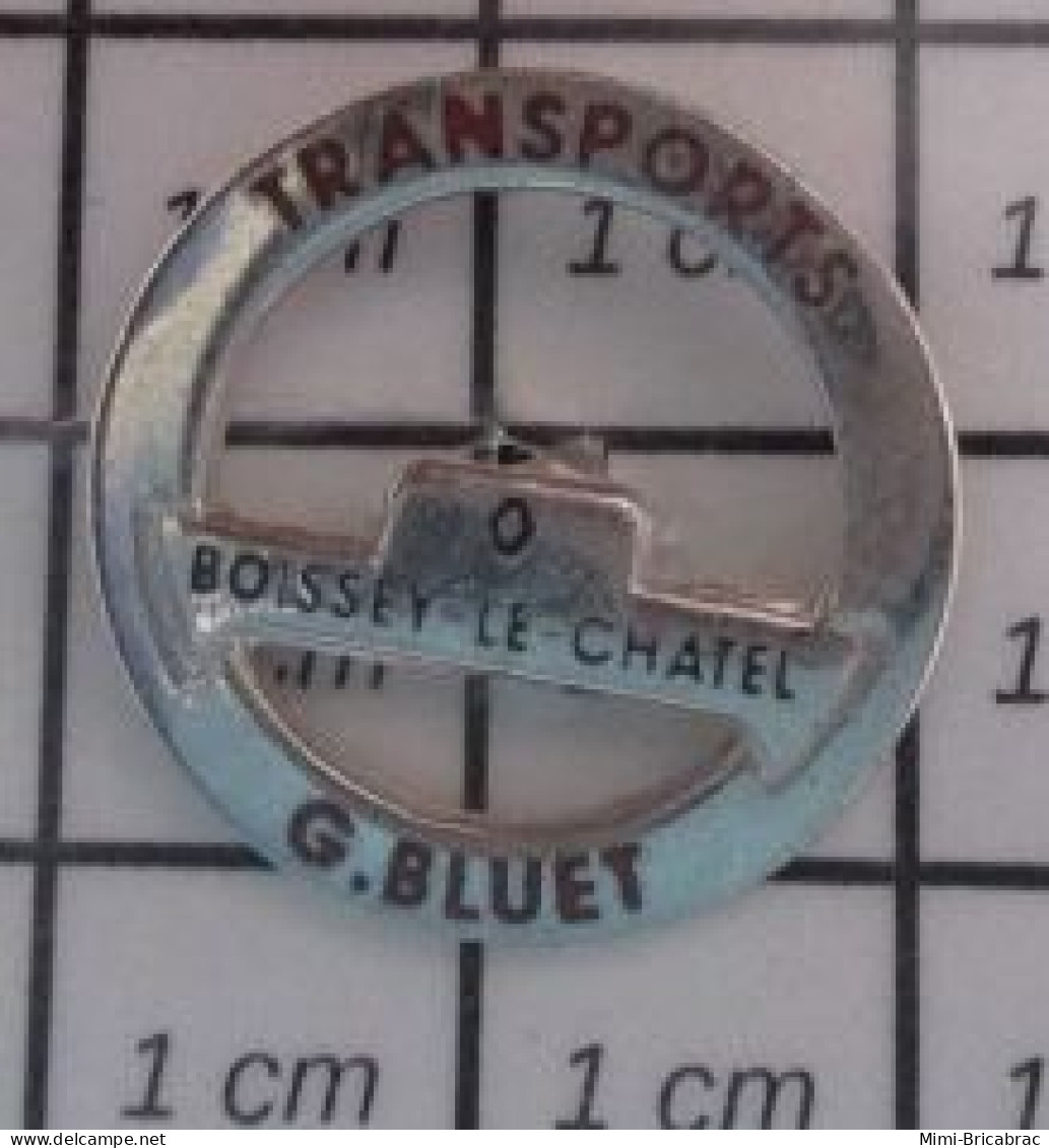 1818c Pin's Pins / Beau Et Rare / TRANSPORTS / VOLANT DE CAMION TRANSPORTS G BLUET BOISSEY LE CHATEL - Transport