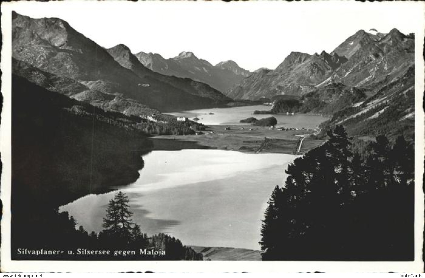 11318034 Silsersee Silsersee Gegen Maloja Silsersee - Andere & Zonder Classificatie