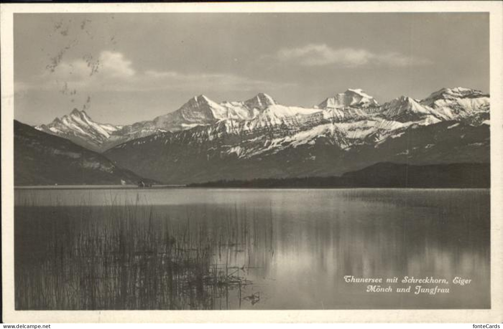 11318024 Thunersee Schreckhorn, Eiger Moench U.Jungfrau Thun - Sonstige & Ohne Zuordnung