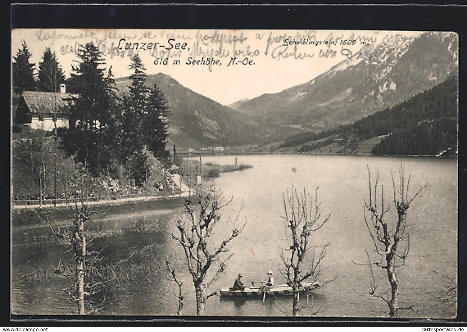 AK Lunz Am See, Blick Auf Den Lunzer See  - Sonstige & Ohne Zuordnung