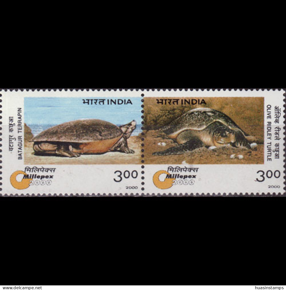 INDIA 2000 - Scott# 1803a Endang.Turtles Set Of 2 MNH - Unused Stamps
