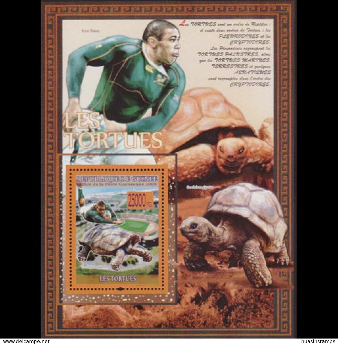 GUINEA 2008 - S/S Giant Tortoise MNH - Guinée (1958-...)