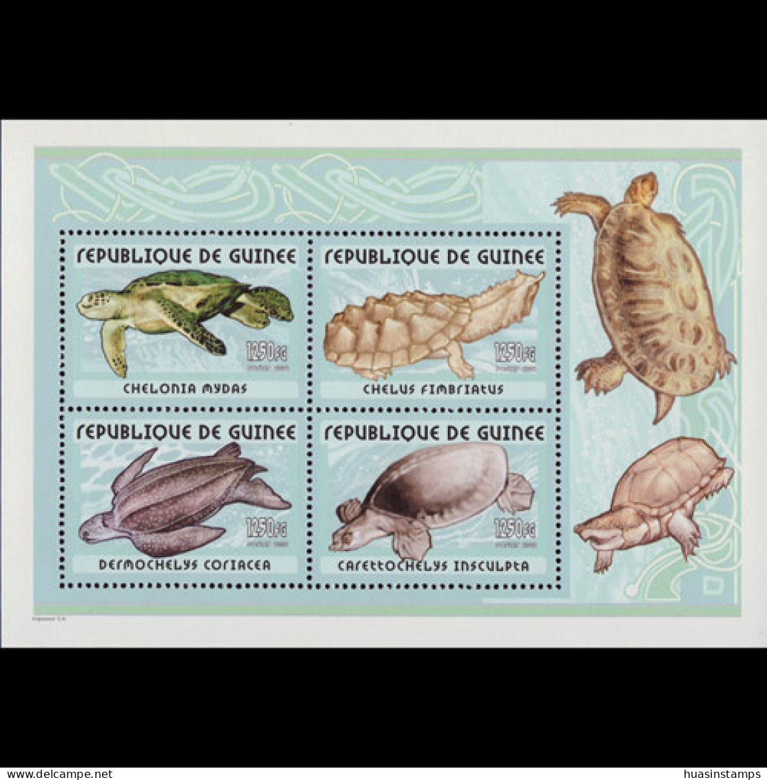 GUINEA 2002 - S/S Turtles MNH - Guinee (1958-...)