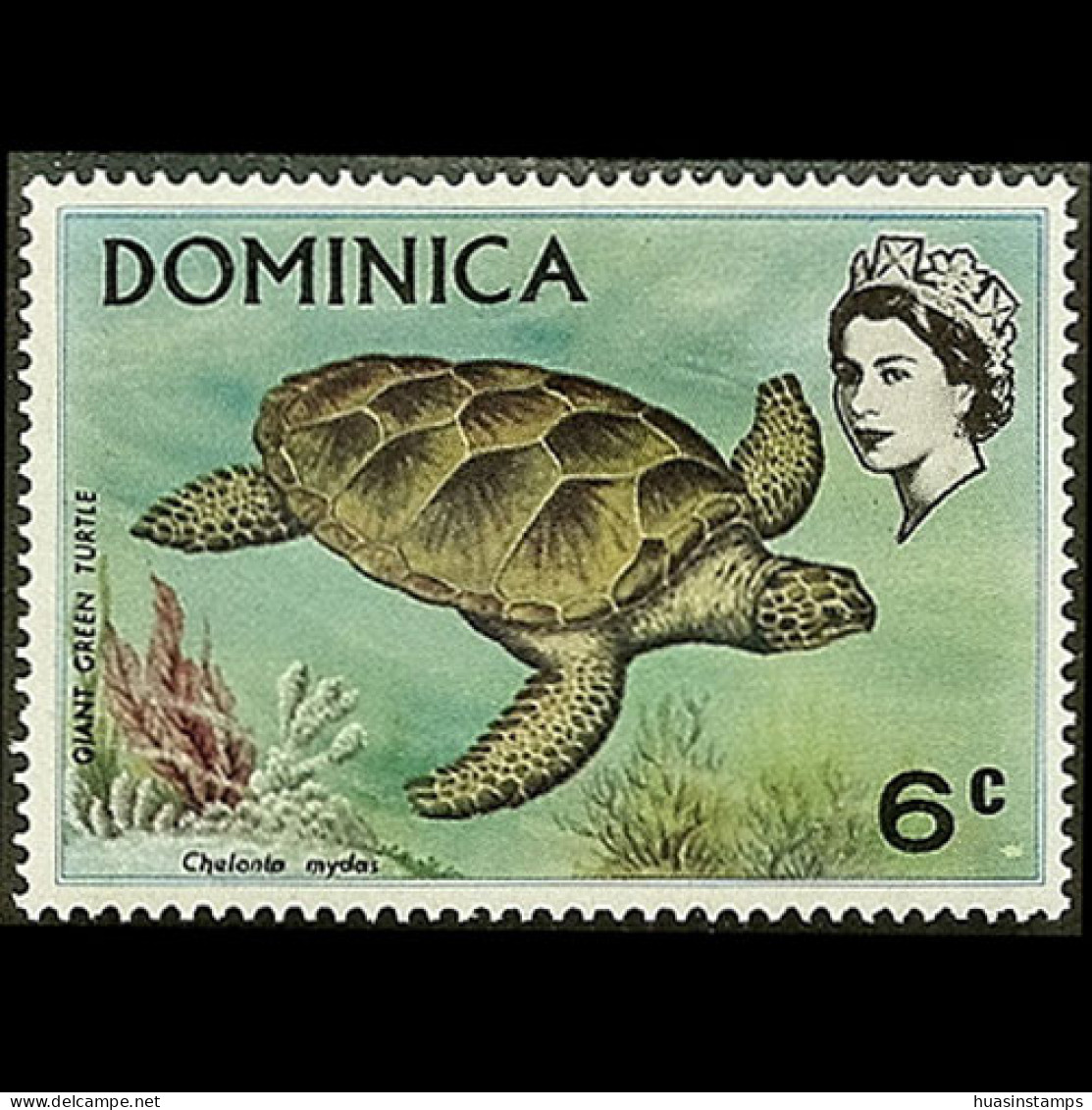 DOMINICA 1970 - Scott# 297 Green Turtle 6c MNH - Dominica (1978-...)