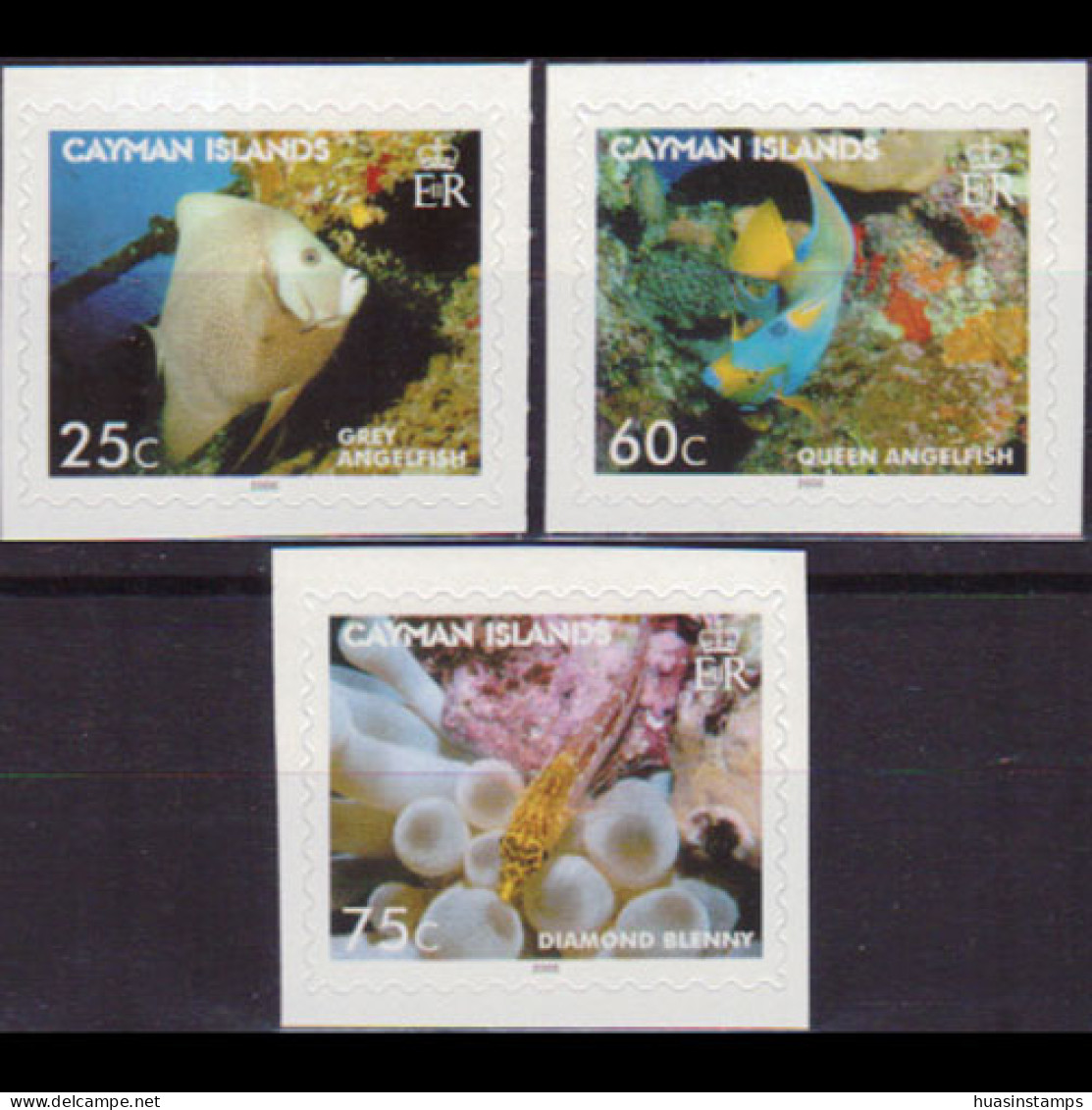 CAYMAN IS. 2006 - Scott# 969-71 Marine Life 25-75c MNH - Cayman (Isole)