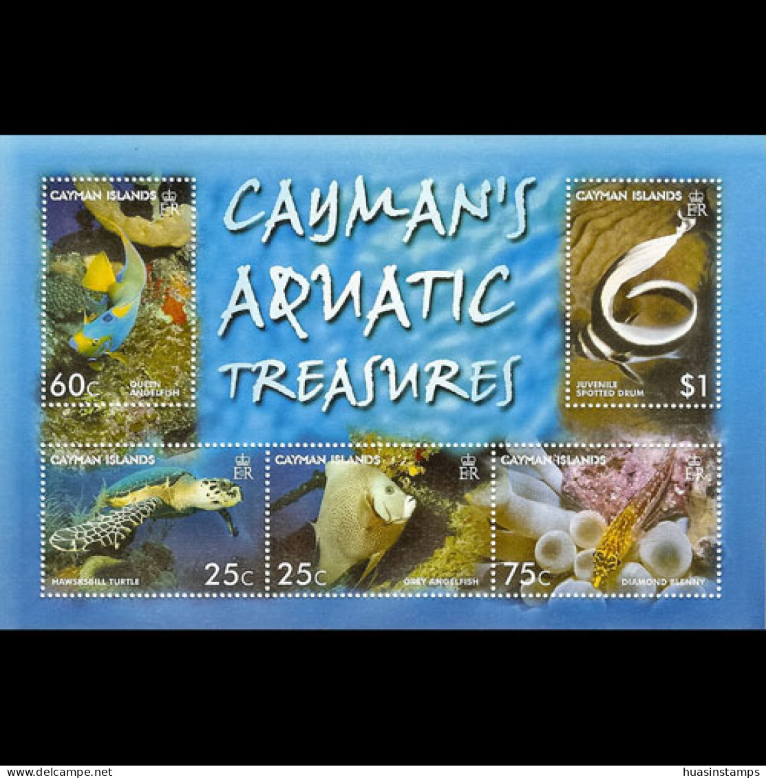 CAYMAN IS. 2006 - Scott# 967 S/S Marine Life MNH - Kaimaninseln