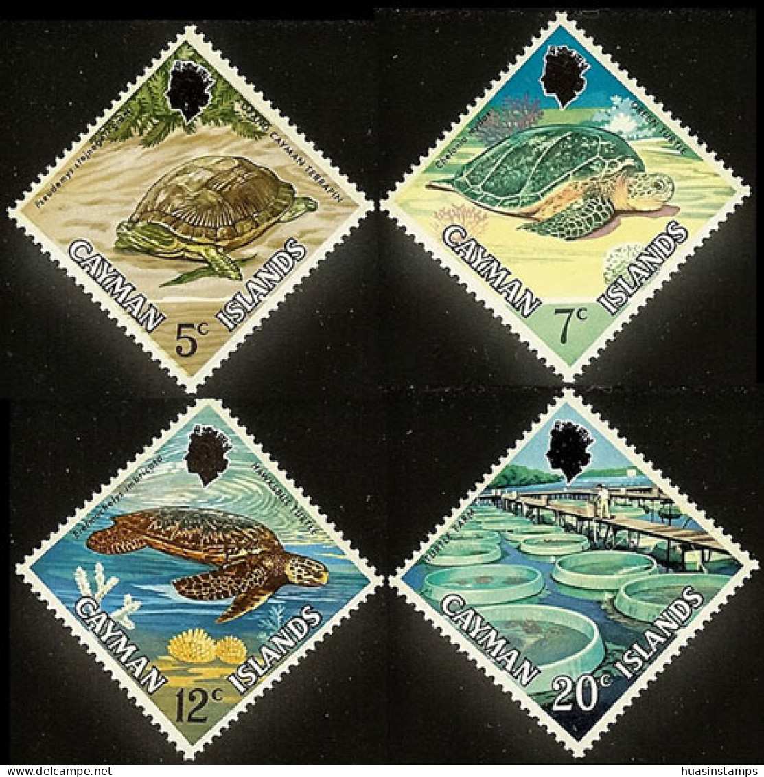 CAYMAN IS. 1971 - Scott# 283-6 Turtles Set Of 4 LH - Caimán (Islas)