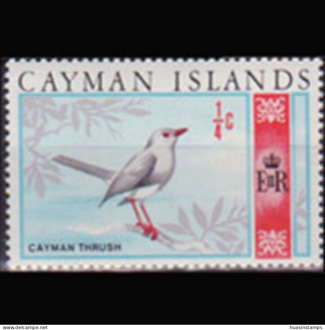 CAYMAN IS. 1970 - Scott# 262 Bird-Thrush 1/4c MNH - Kaaiman Eilanden