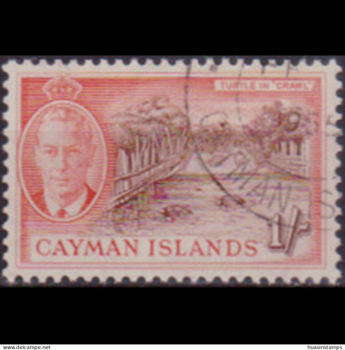 CAYMAN IS. 1950 - Scott# 131 Turtle Crawl 1s Used - Caimán (Islas)