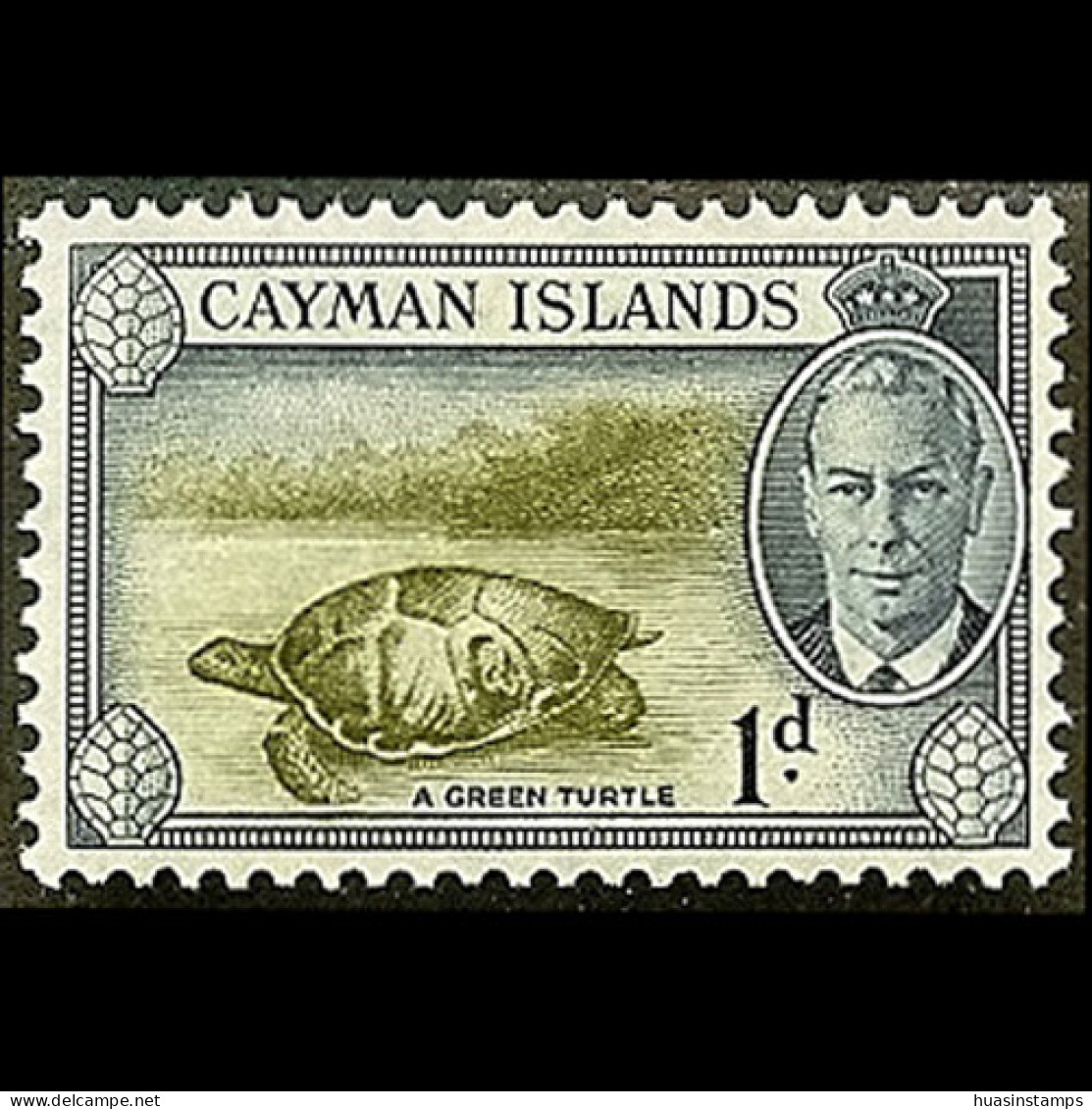 CAYMAN IS. 1950 - Scott# 124 Green Turtle 1p LH - Kaaiman Eilanden